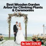 Planning an Outdoor Ceremony? Don’t Skip This Arbor